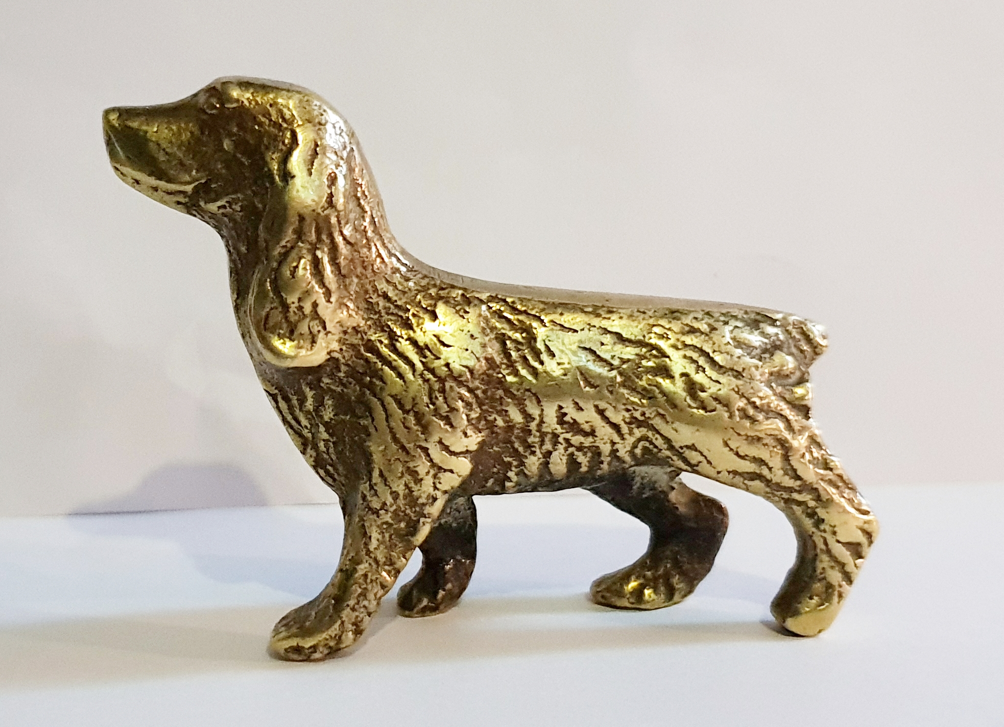 (image for) Cocker Spaniel