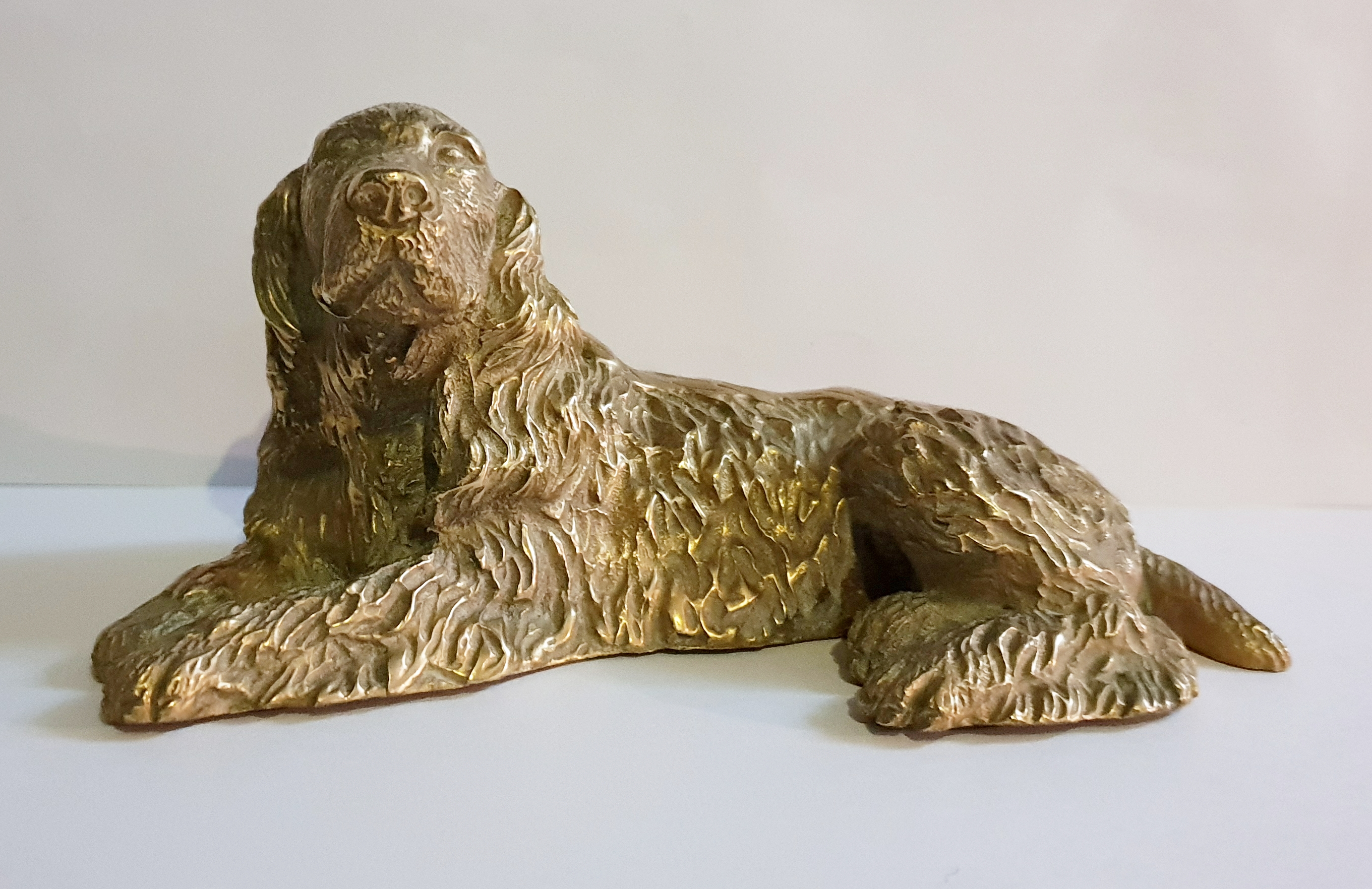 (image for) Cocker Spaniel