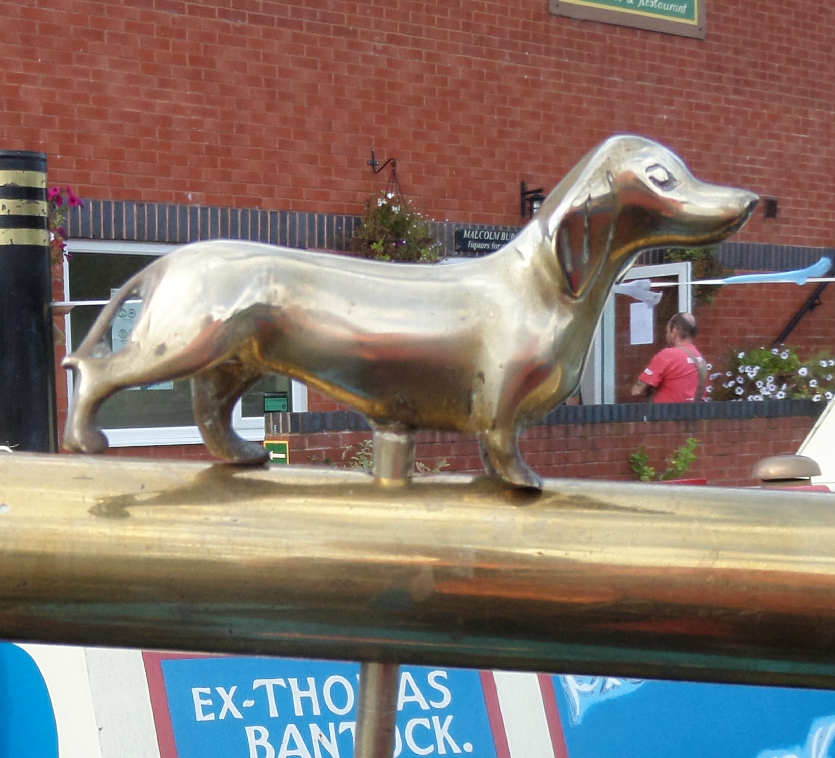 (image for) Dachshund Tiller Pin