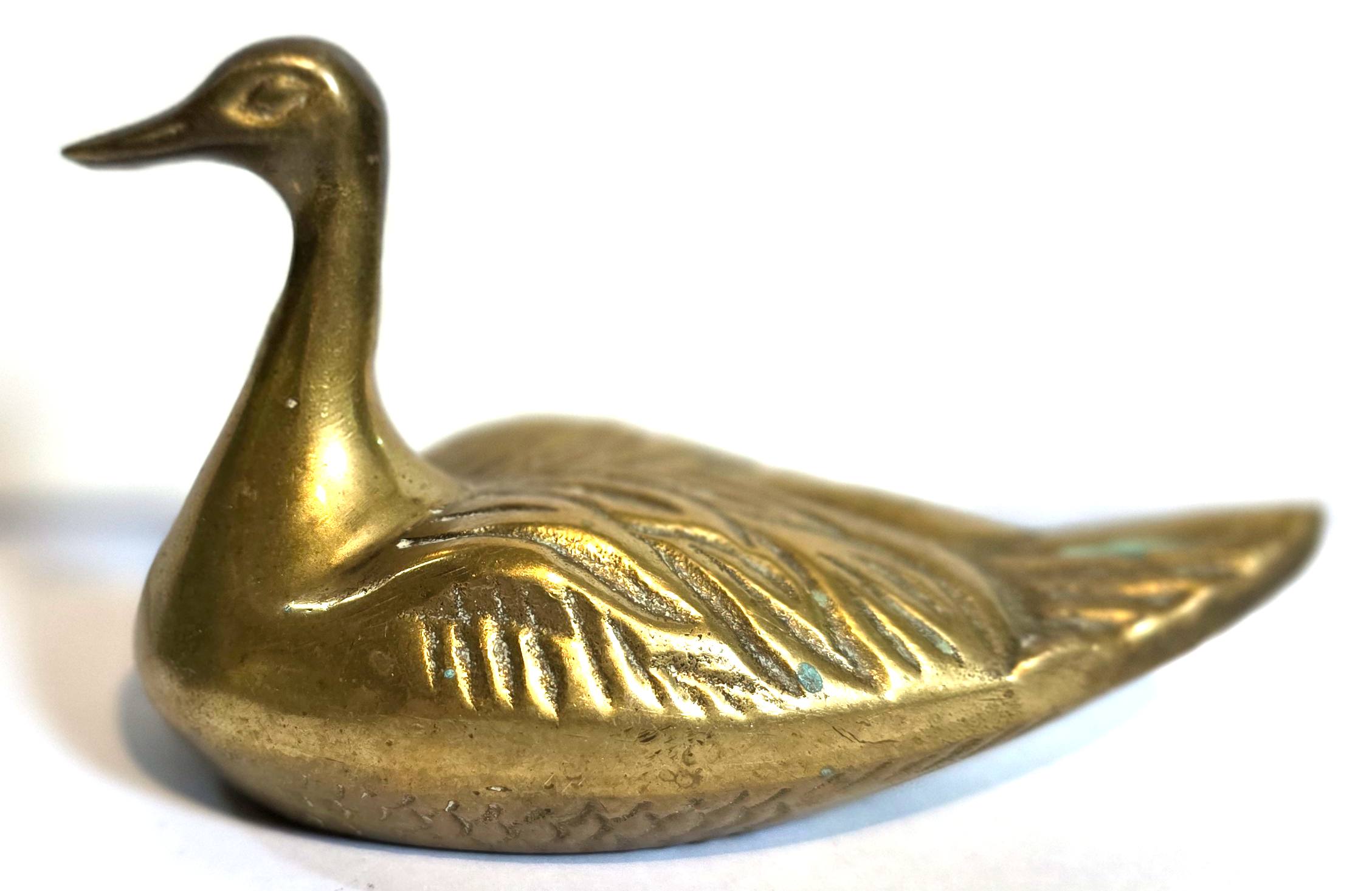 (image for) Duck Tiller Pin