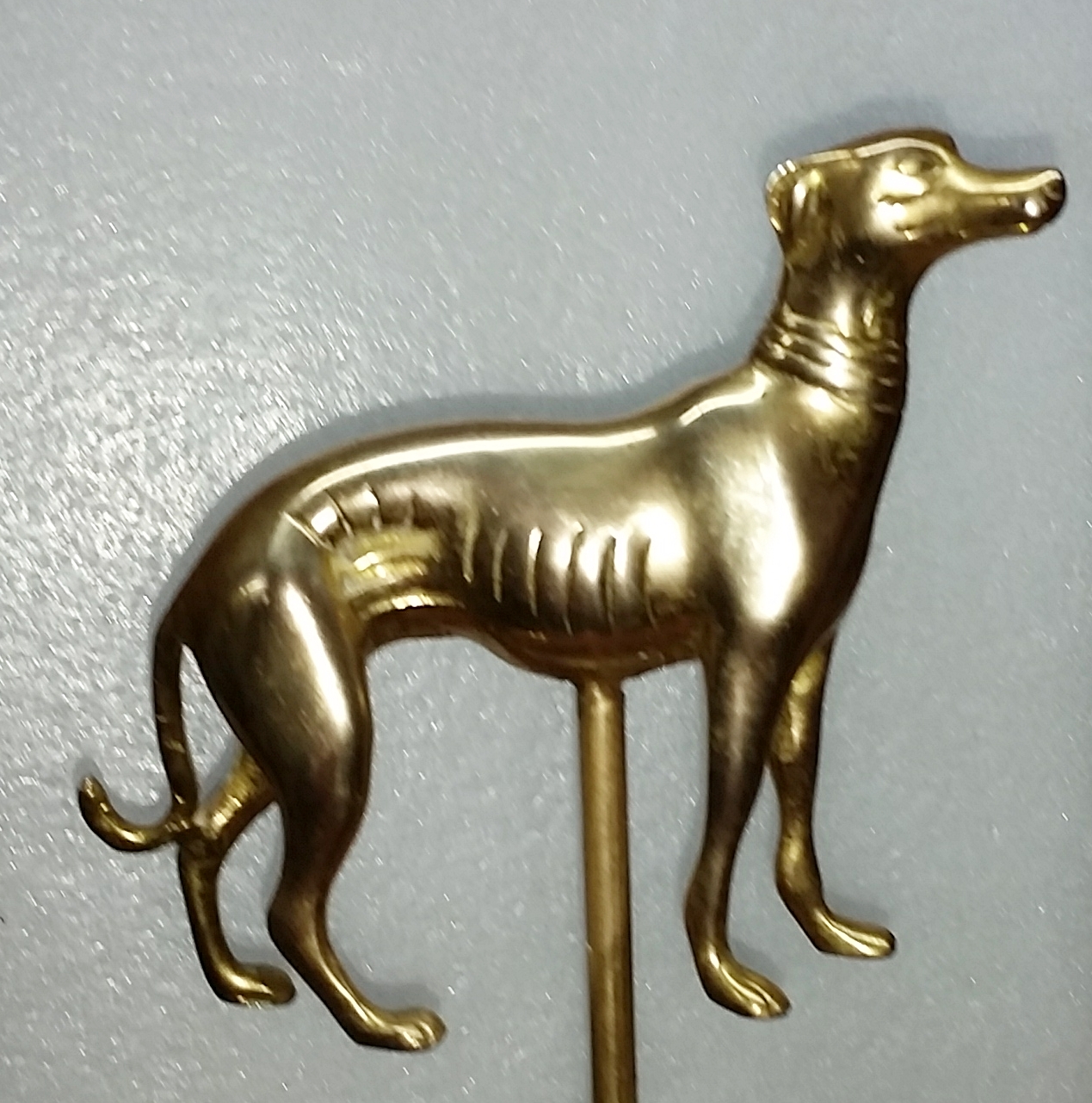 (image for) Greyhound/Whippet Tiller Pin