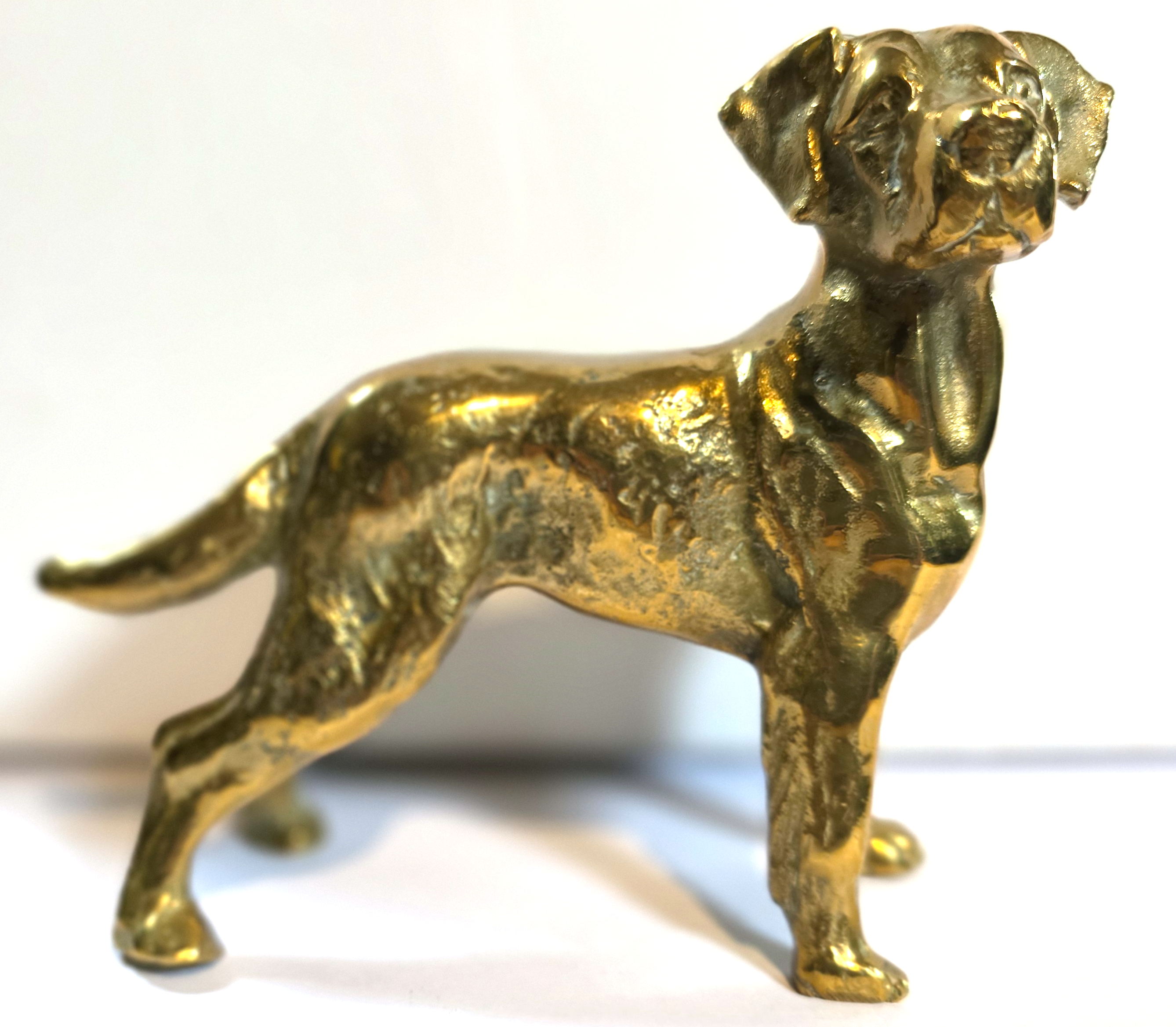 (image for) Labrador Tiller Pin