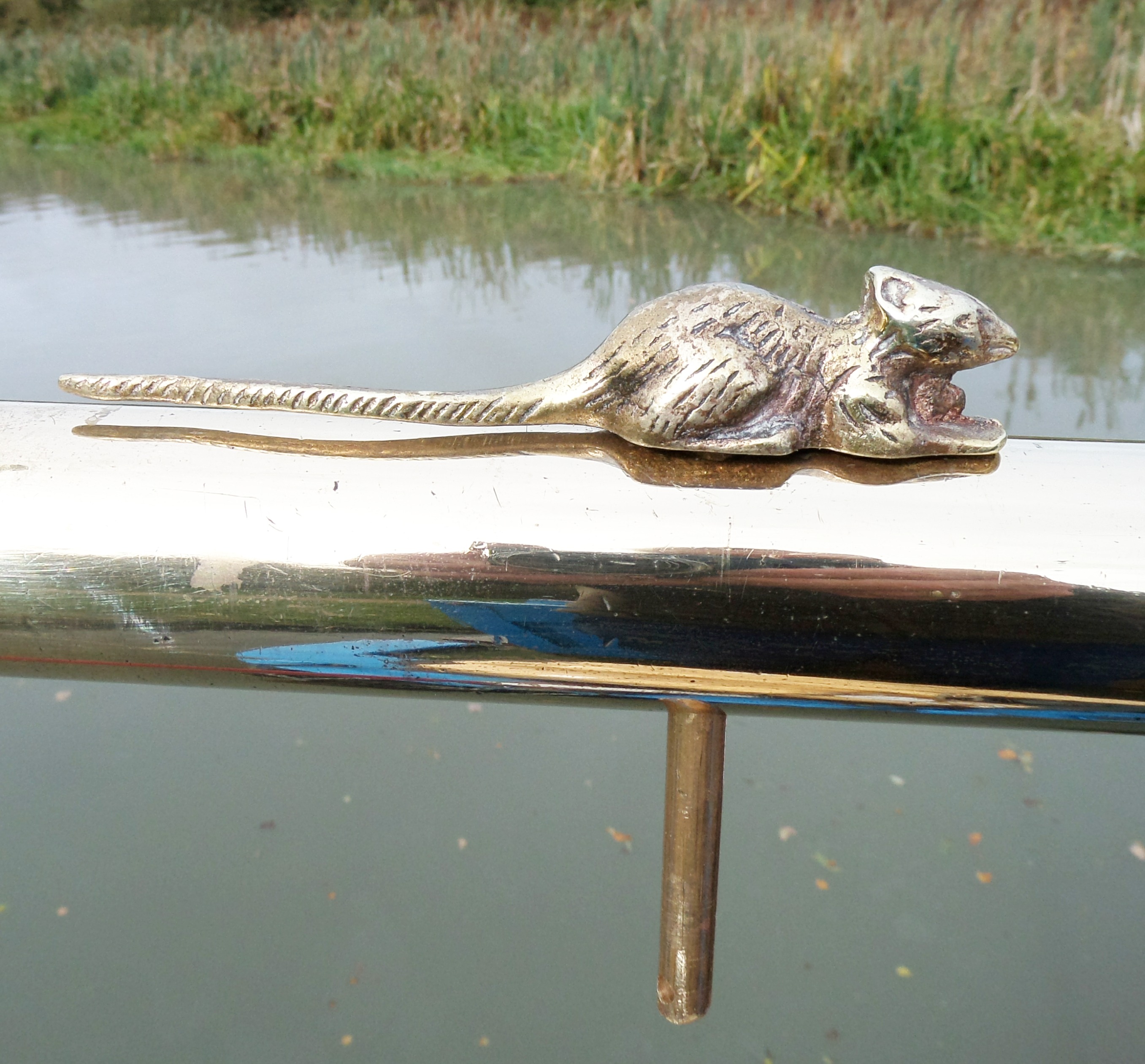 (image for) Rat Tiller Pin