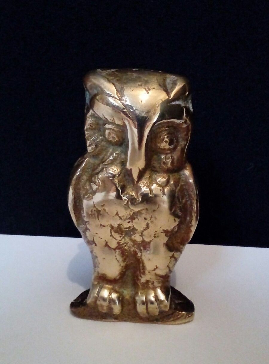 (image for) Owl Tiller Pin