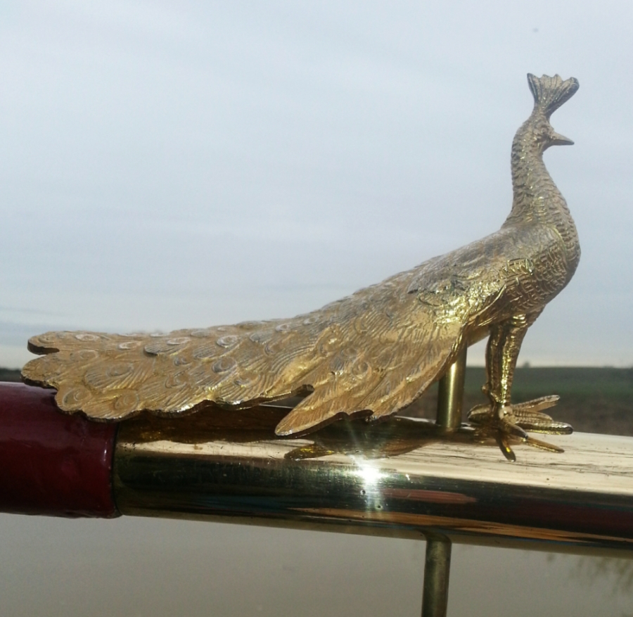 (image for) Peacock Tiller Pin