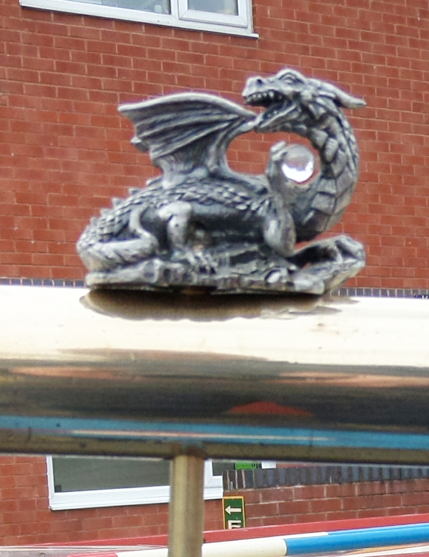 (image for) Dragon Tiller Pin