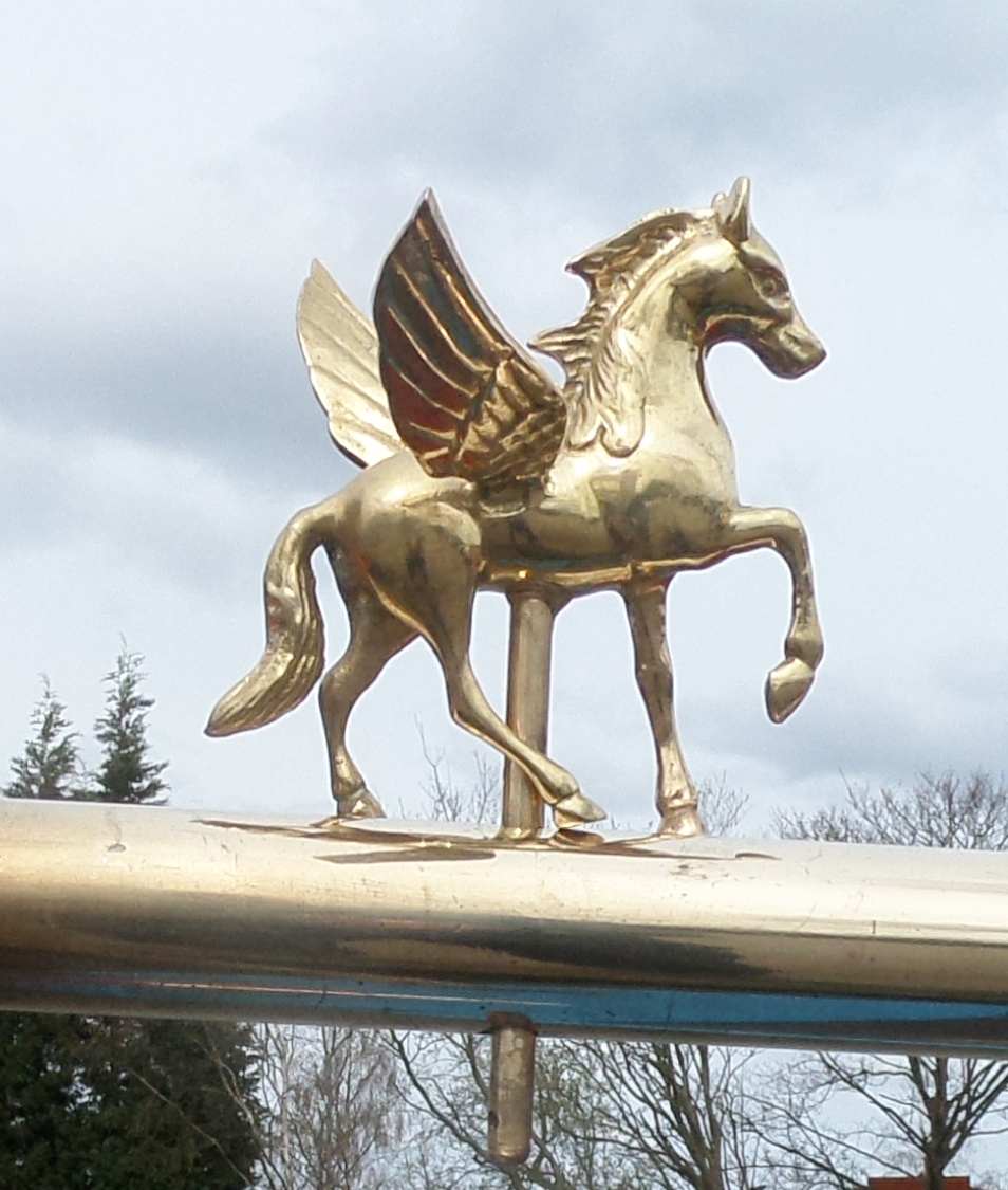 Pegasus Tiller Pin