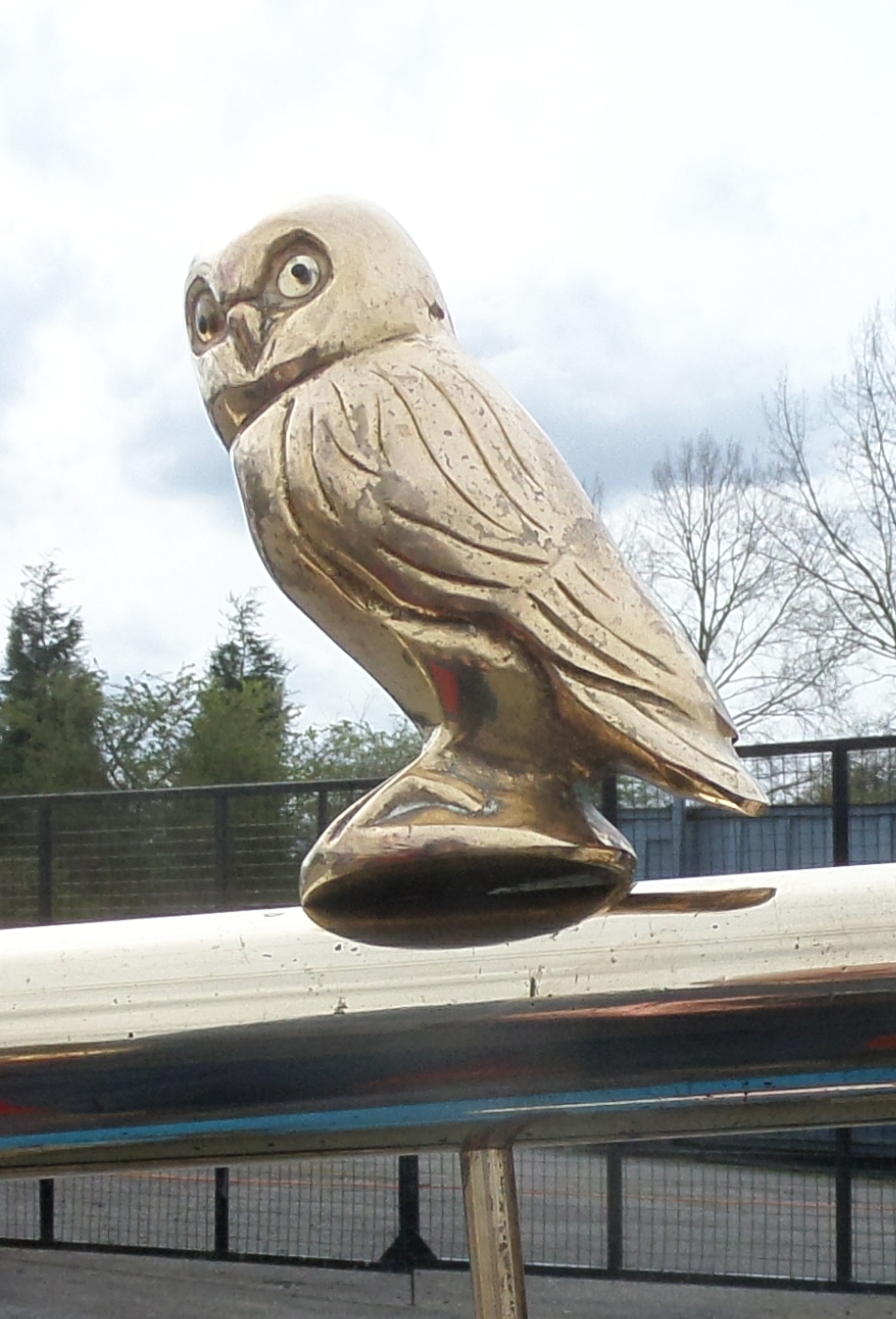 (image for) Owl Tiller Pin