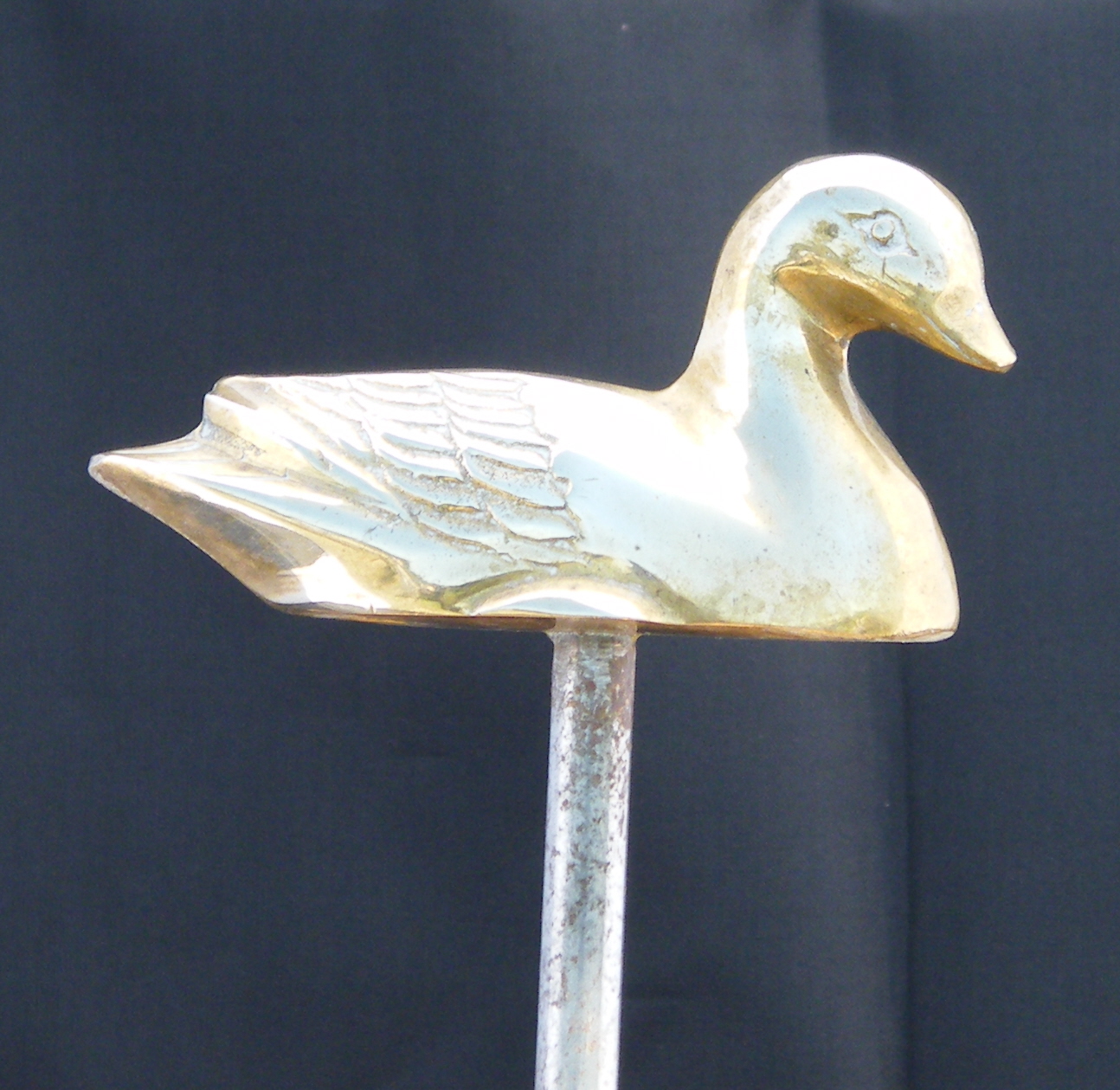 (image for) Duck Tiller Pin