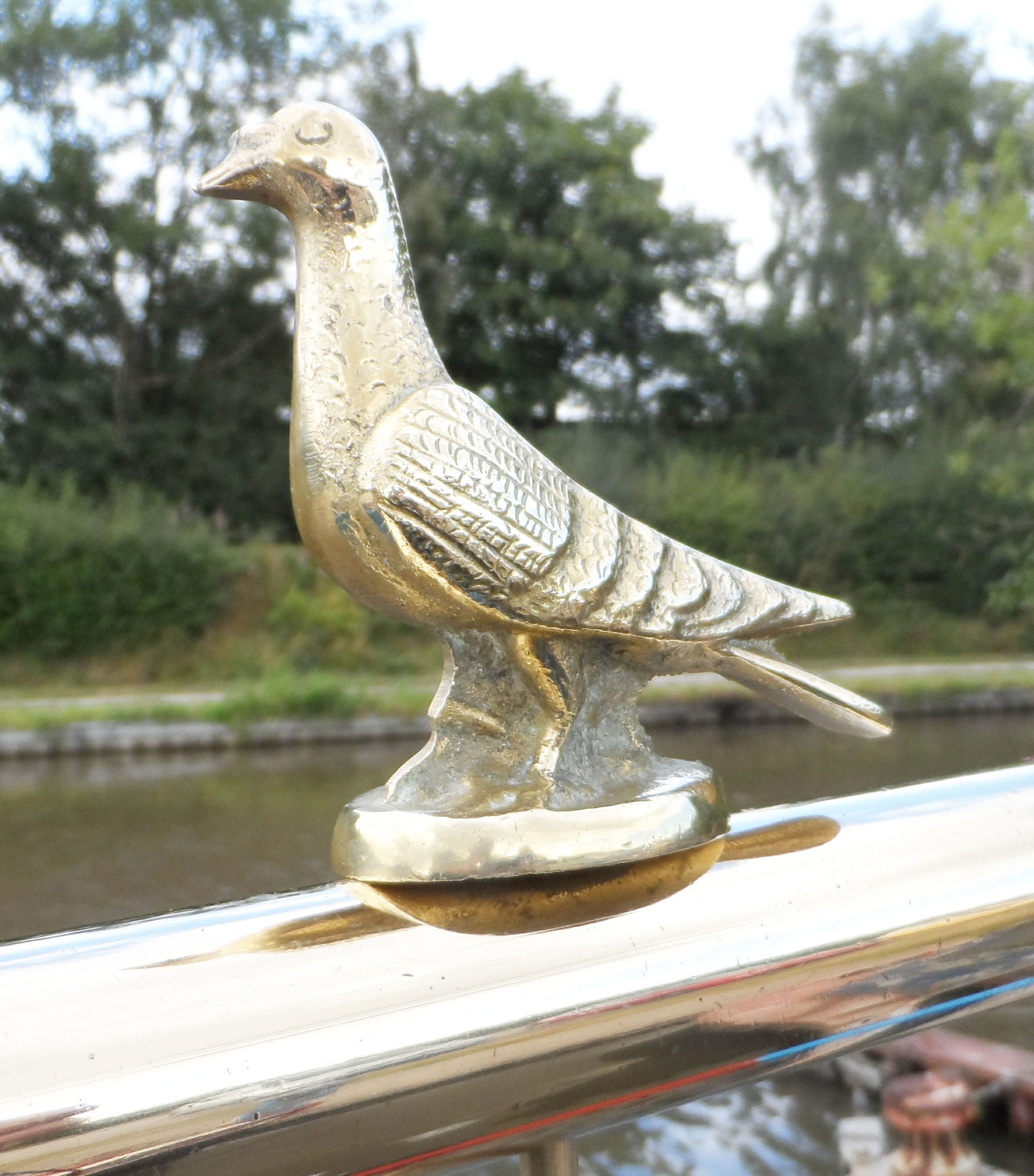 (image for) Pigeon Tiller Pin