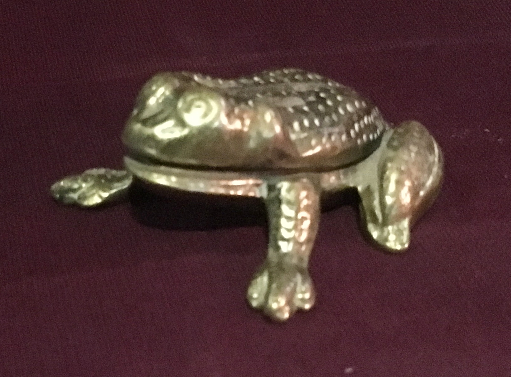 Toad Tiller Pin
