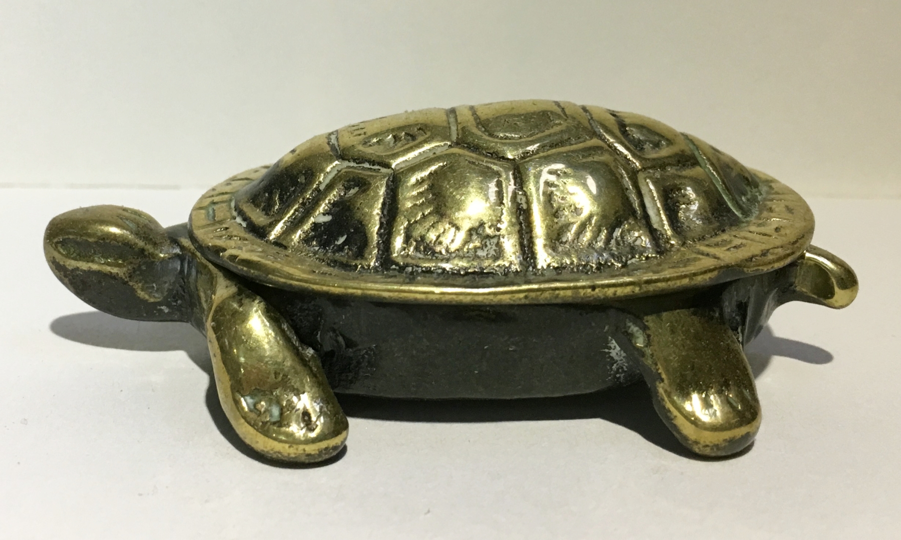 (image for) Tortoise Tiller Pin
