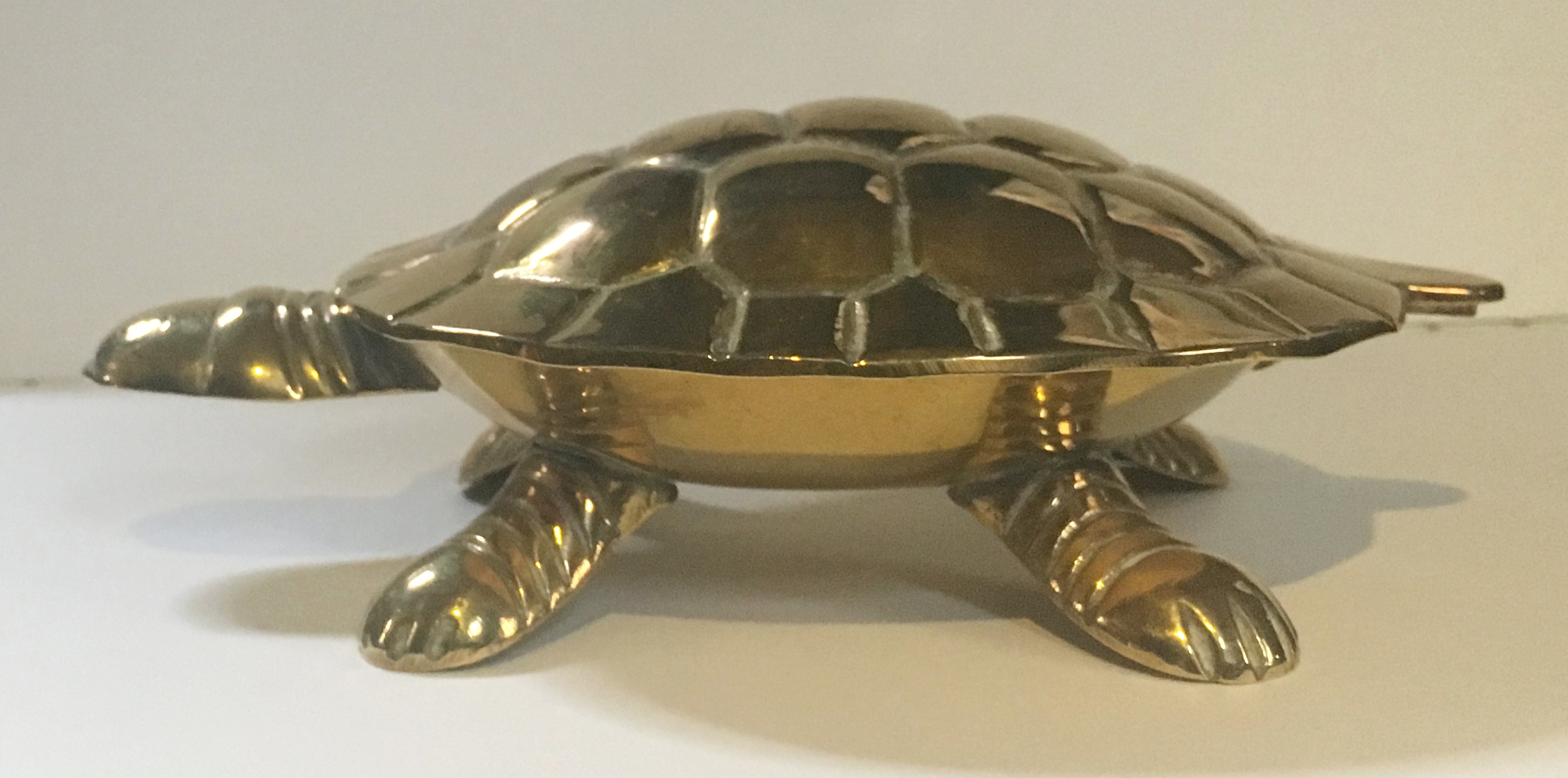 Tortoise Tiller Pin