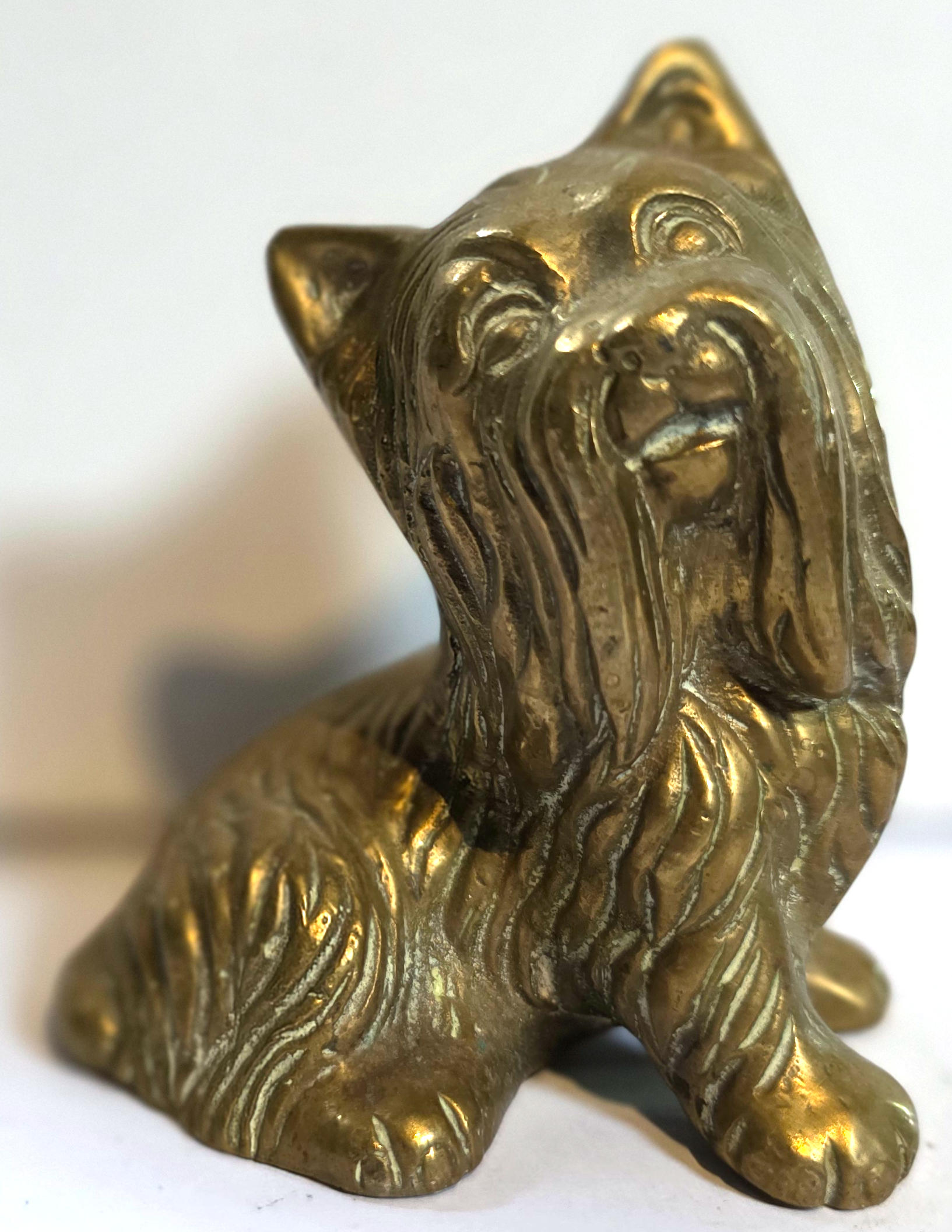 (image for) Yorkshire Terrier Tiller Pin